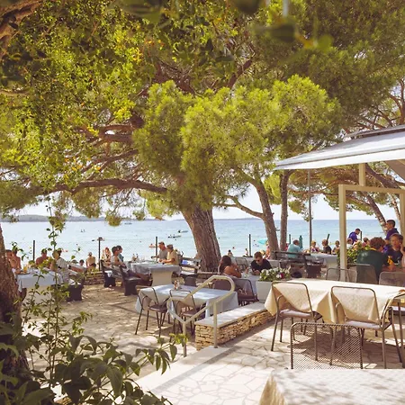 Campingplads Bi-village - Roan