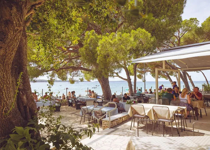 キャンプ場 Bi-village - Roan